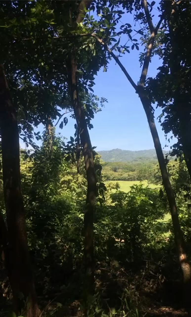RE/MAX real estate, Costa Rica, 27 de Abril, Land Opportunity in Santa Cruz, Guanacaste, 4.9421 acres at an excellent price